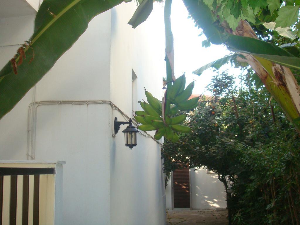 Karis Hotel Città di Kos Esterno foto